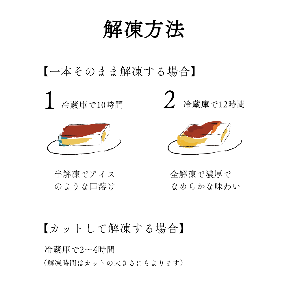 【定期便】濃厚プリン　New Pudding（ニュープディング）（500g×1本）×2ヶ月【be152-0931-100-2】