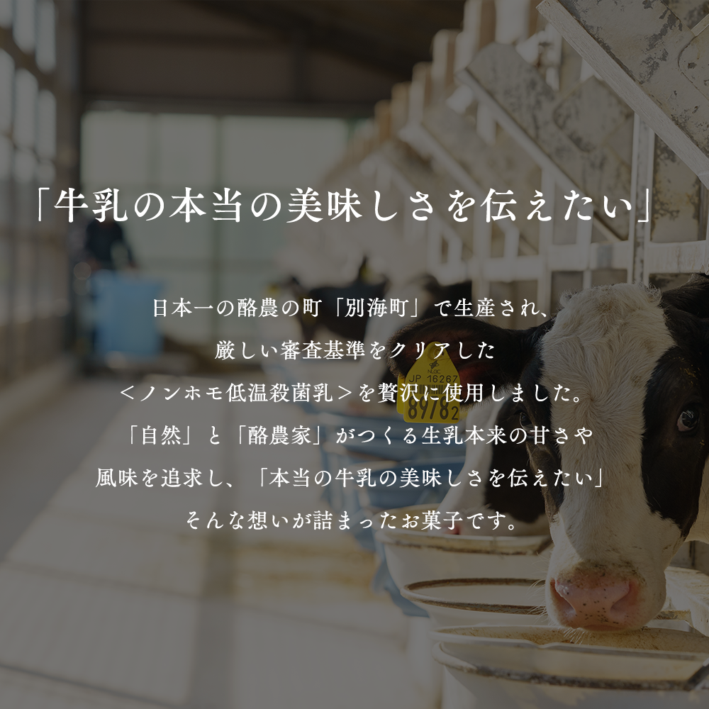 【隔月定期便】濃厚プリン　New Pudding（ニュープディング）（500g×1本）×3回【be152-0931-200-3】
