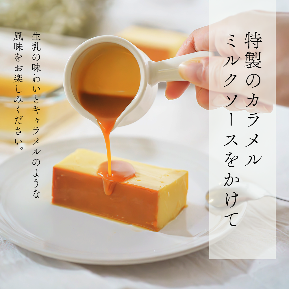 【定期便】濃厚プリン　New Pudding（ニュープディング）（500g×1本）×8ヶ月【be152-0931-100-8】
