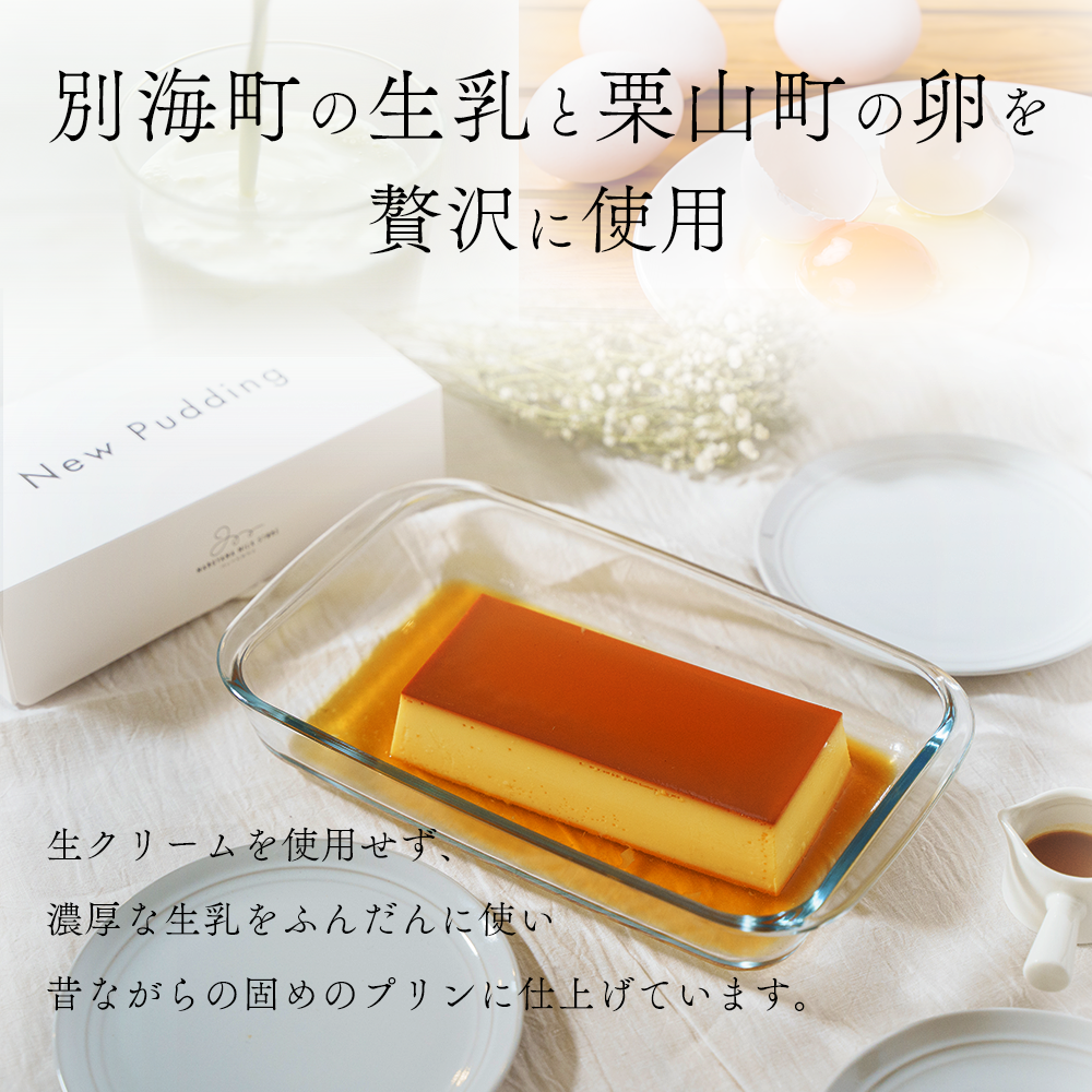【隔月定期便】濃厚プリン　New Pudding（ニュープディング）（500g×1本）×4回【be152-0931-200-4】