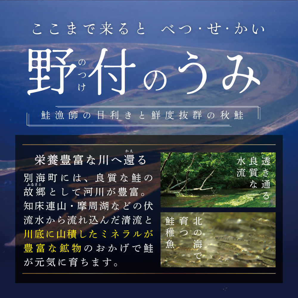 【禁輸に負けない！】【訳あり】「秋鮭の切り身（無塩）」1.4kg（ 鮭 秋鮭 シャケ 秋シャケ 北海道産鮭 北海道産秋鮭 道産鮭 道産秋鮭 鮭切り身 鮭切身 さけ さけ切り身 さけ切身 国産鮭 国産秋鮭 地場産鮭 地場産秋鮭 ふるさと納税 訳あり 訳あり鮭 訳ありシャケ 訳あり秋鮭 訳あり切り身 訳あり 切身）