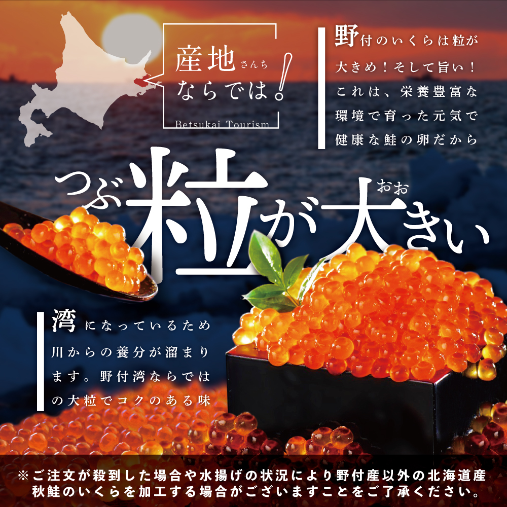 計2kg【250g×1パック 8回 お届け】 8ヵ月 定期便 漁協 直送！本場「北海道」 いくら 醤油漬け【NKM08NQ13】( いくら いくら醤油漬け いくら醤油漬 醤油いくら 鮭いくら 国産いくら 北海道産いくら 地場産いくら 道産いくら 別海町 ふるさと納税 ふるさと ikura )