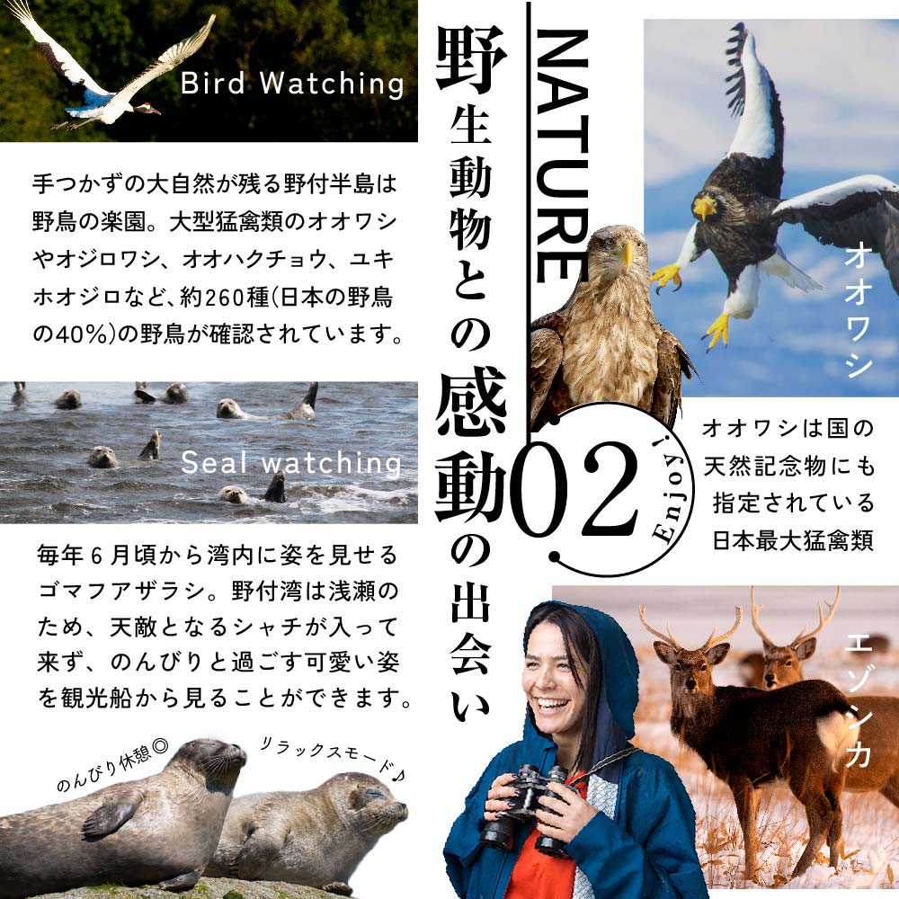 ひがし北海道 別海町の旅（羽田発着 ANA往復 航空券 + 別海町 宿泊 1泊 北海道 旅行 旅行券 ホテル 旅館 宿泊券 ）