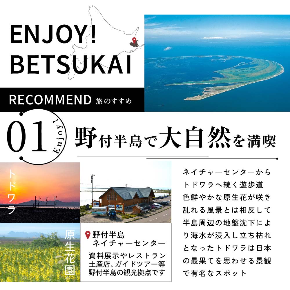 ひがし北海道 別海町の旅（日本全国発着 ANA往復 航空券 + 別海町 宿泊 1泊 北海道 旅行 旅行券 ホテル 旅館 宿泊券 ）