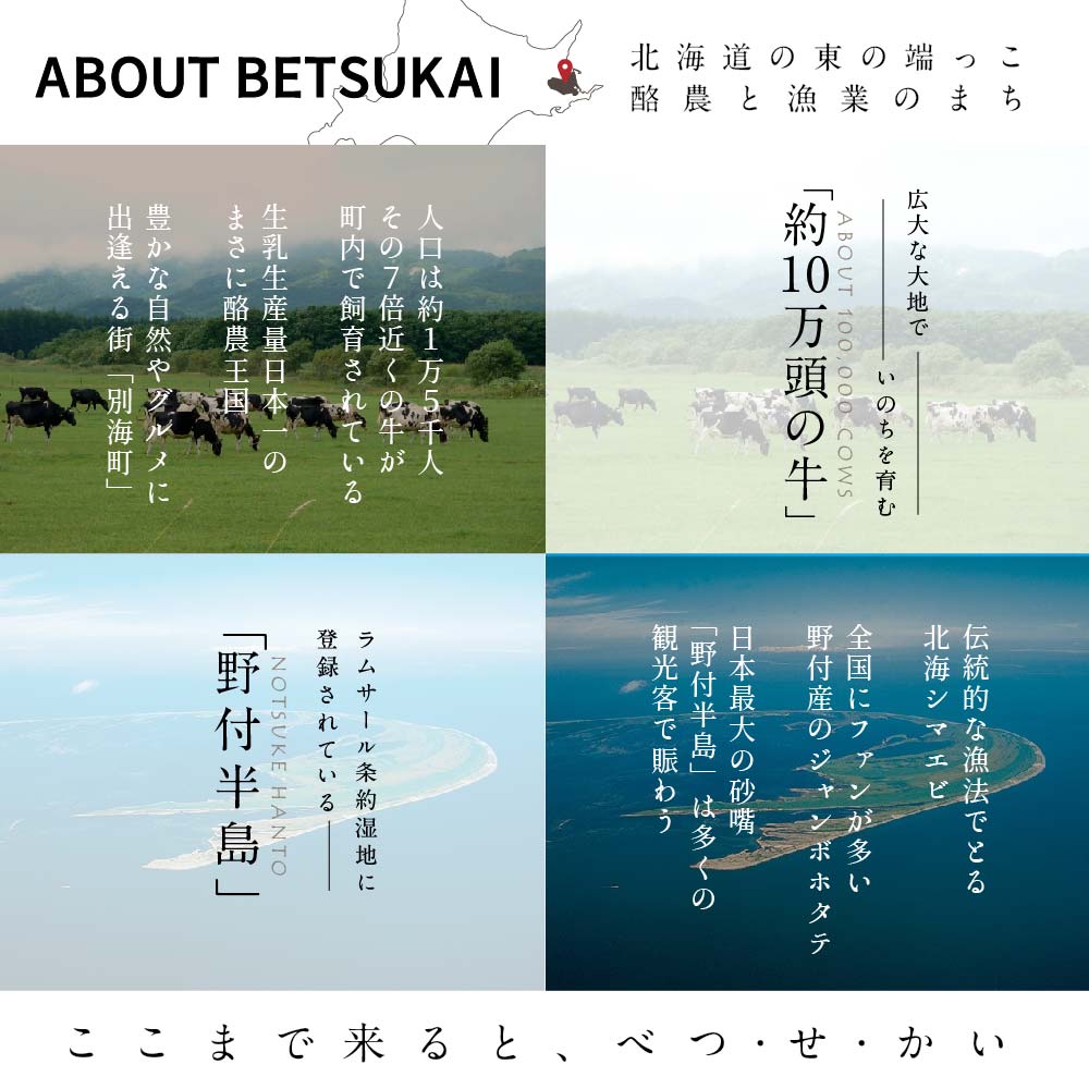 ひがし北海道 別海町の旅（羽田発着 ANA往復 航空券 + 別海町 宿泊 1泊 + レンタカー 北海道 旅行 旅行券 ホテル 旅館 宿泊券 ）