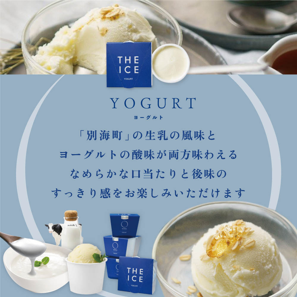 【隔月3回定期便】【THE ICE】5種食べ比べ 5個セット【CJB030206】