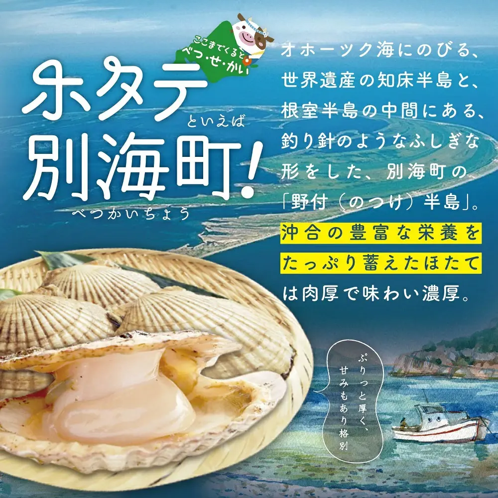 朝どり 新鮮出荷 活ホタテ 中サイズ 3kg活ほたて【UY0000015】