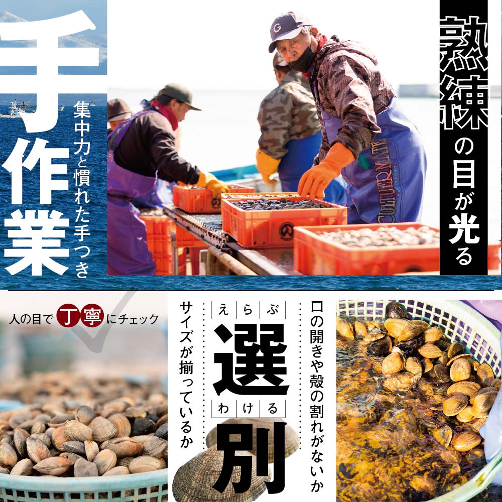 北海道 野付産 天然 冷凍あさり  4kg (500g×8)【UY0000021】