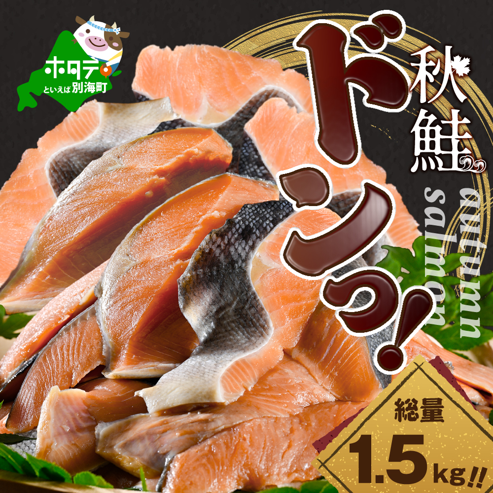 【訳あり】秋鮭ドンっ！無塩 秋鮭 切り身 1.5kg 【KN000PB06】