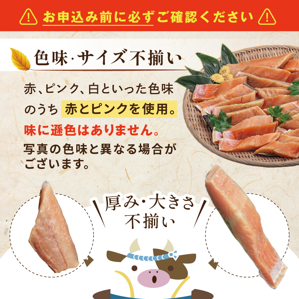 【訳あり】秋鮭ドンっ！無塩 秋鮭 切り身 1.5kg 【KN000PB06】