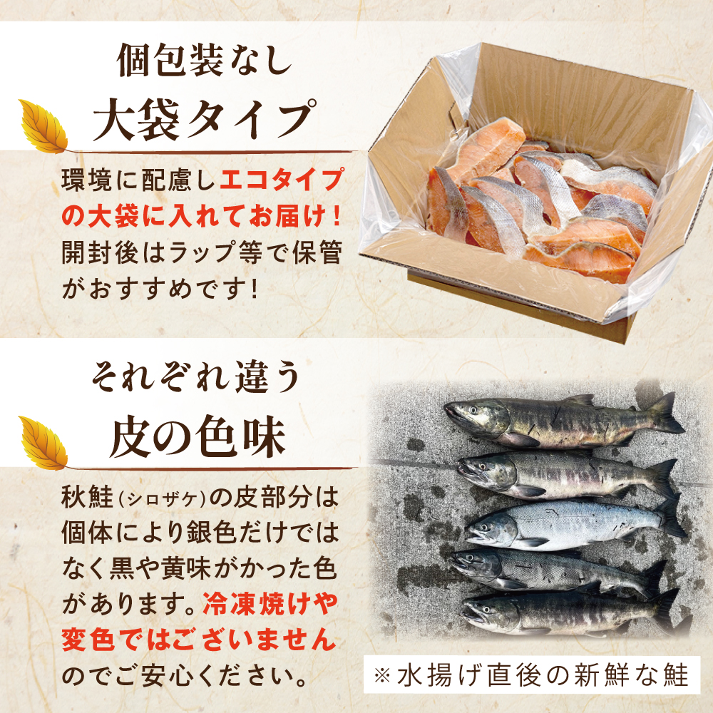 【訳あり】秋鮭ドンっ！無塩 秋鮭 切り身 1.5kg 【KN000PB06】