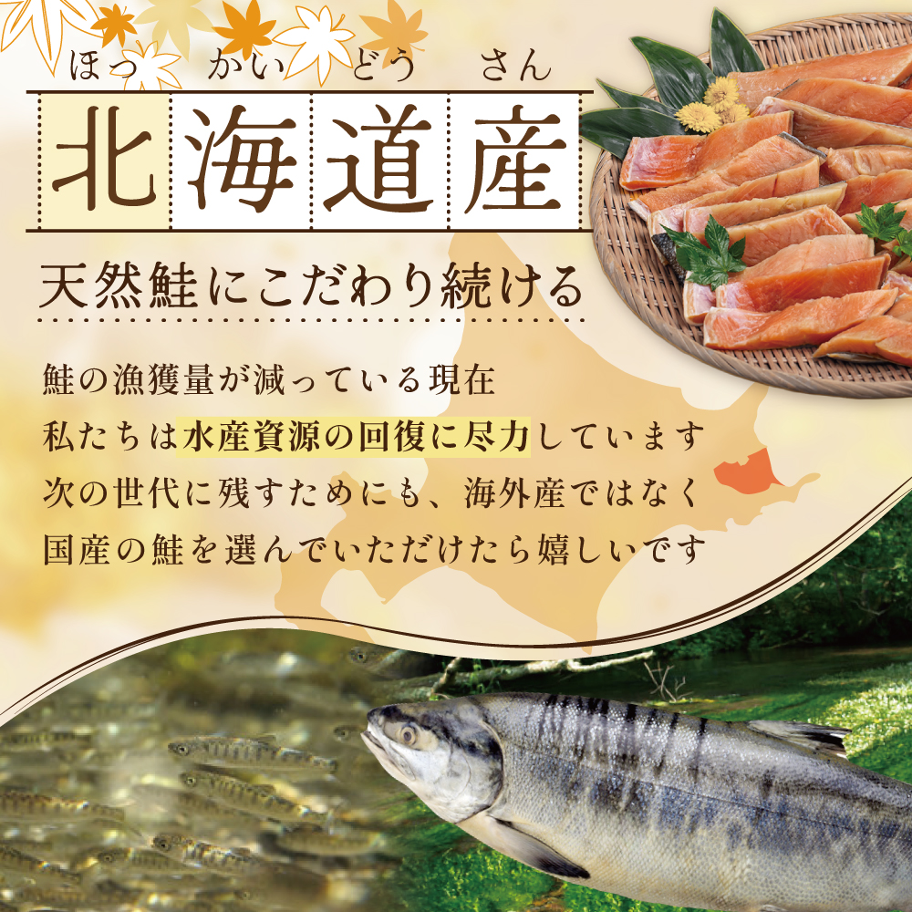 【訳あり】秋鮭ドンっ！無塩 秋鮭 切り身 1.5kg 【KN000PB06】