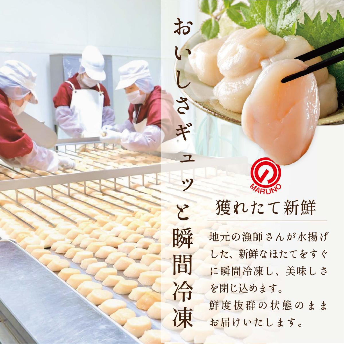 【マイナビ限定】北海道 野付産 冷凍ホタテ 貝柱 大玉（Sサイズ）ホタテ500ｇ（ほたて ホタテ 帆立 ふるさと納税 お届け）