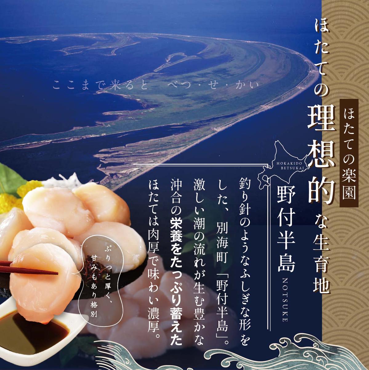 【毎月3ヶ月定期便】北海道 野付産 冷凍ホタテ 貝柱 大玉（Sサイズ）ホタテ500ｇ（ほたて ホタテ 帆立 ふるさと納税 お届け）