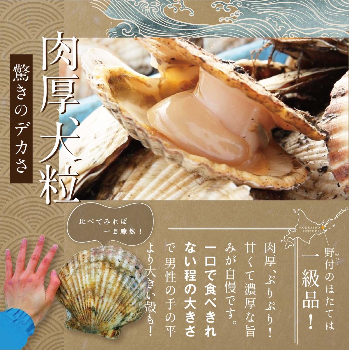 【毎月3ヶ月定期便】北海道 野付産 冷凍ホタテ 貝柱 大玉（Sサイズ）ホタテ500ｇ（ほたて ホタテ 帆立 ふるさと納税 お届け）