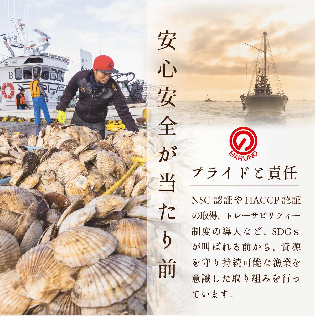 【毎月3ヶ月定期便】北海道 野付産 冷凍ホタテ 貝柱 大玉（Sサイズ）ホタテ500ｇ（ほたて ホタテ 帆立 ふるさと納税 お届け）