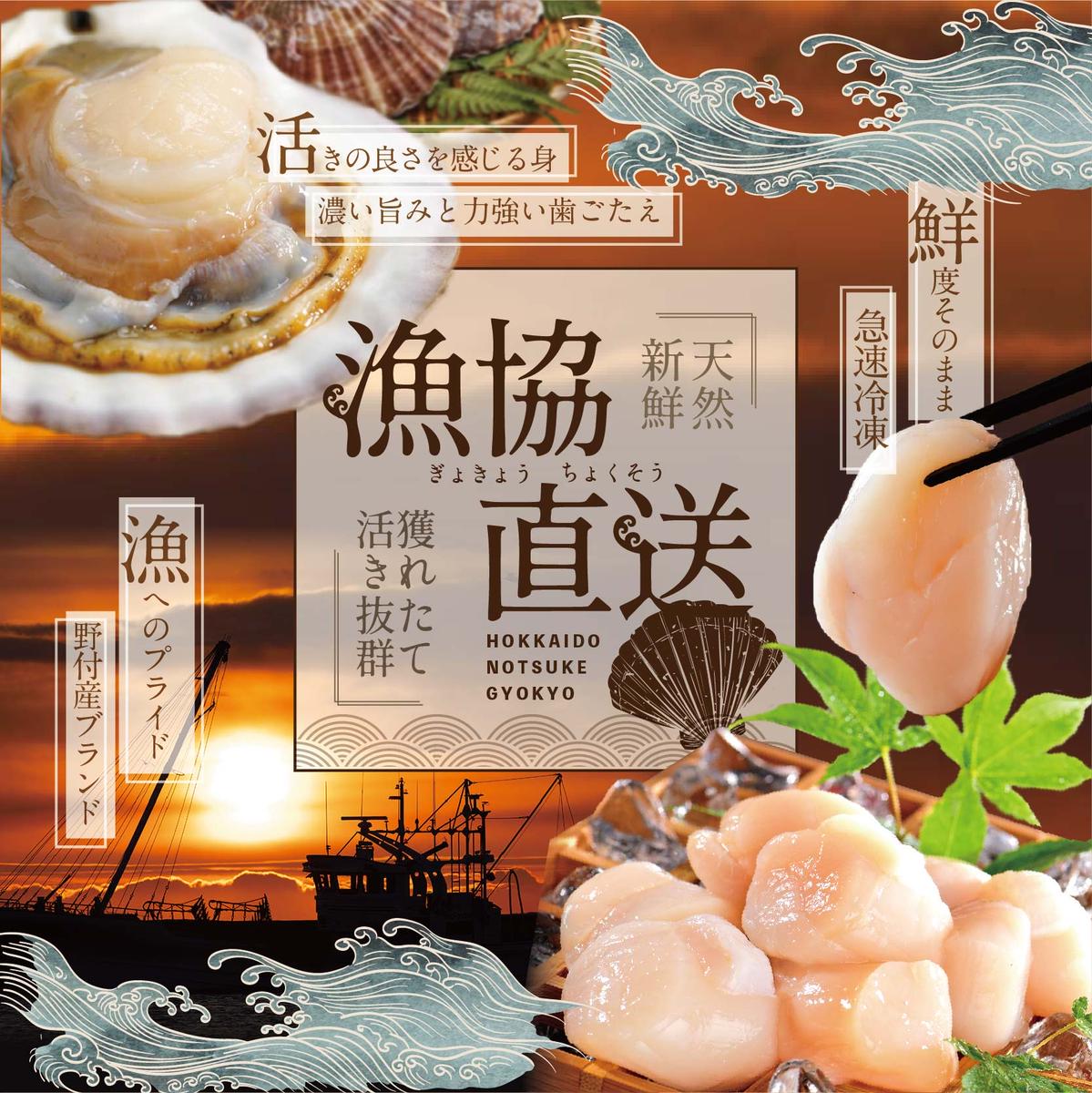 【隔月2ヶ月定期便】北海道 野付産 冷凍ホタテ 貝柱 大玉（Sサイズ）ホタテ500ｇ（ほたて ホタテ 帆立 ふるさと納税 お届け）