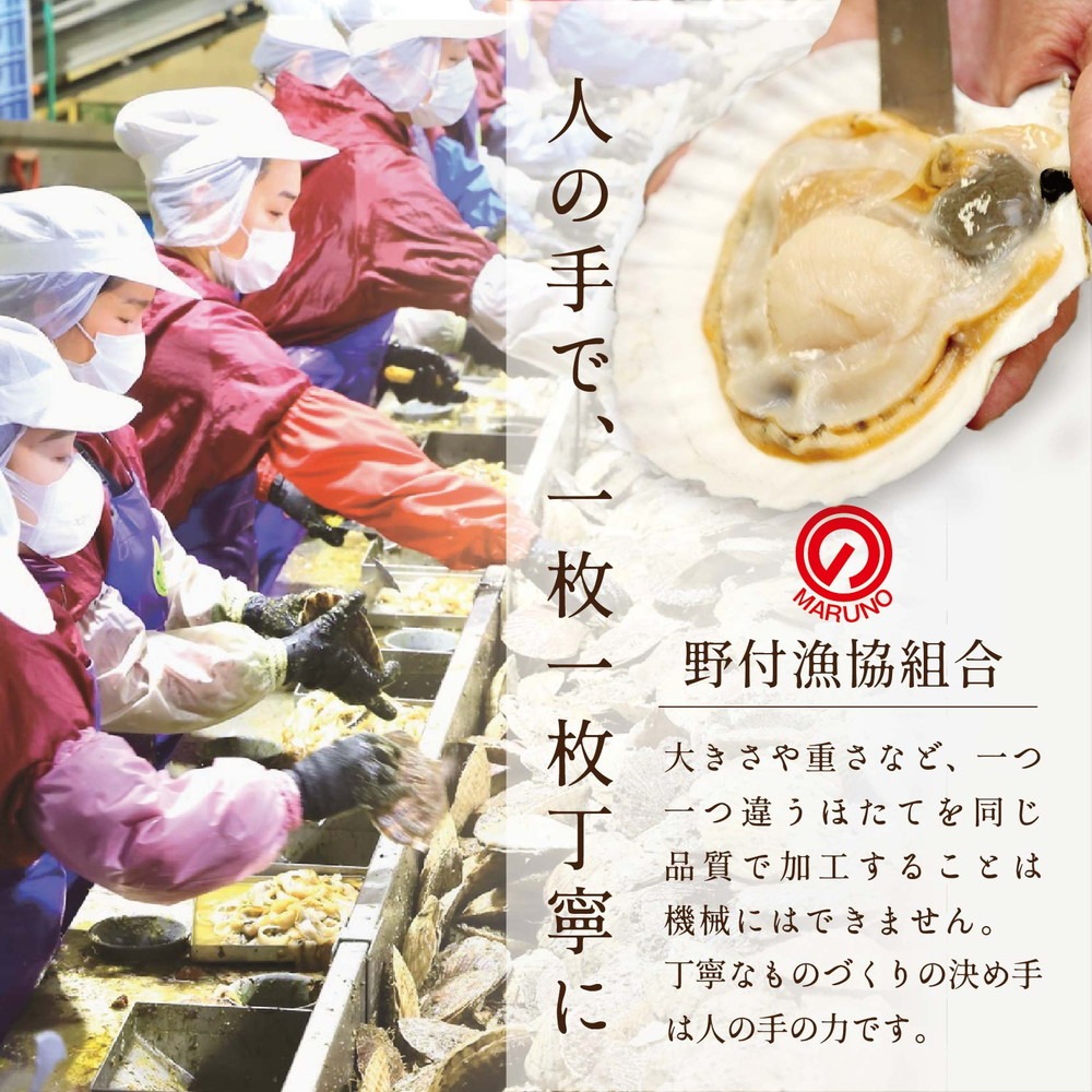 【隔月2ヶ月定期便】北海道 野付産 漁協直送 冷凍 ホタテ 貝柱 ジャンボホタテ500g 濃厚な旨味と甘み （ほたて ホタテ 帆立 貝柱 ホタテ貝柱 大玉 大粒 北海道 別海 野付 ふるさと納税）
