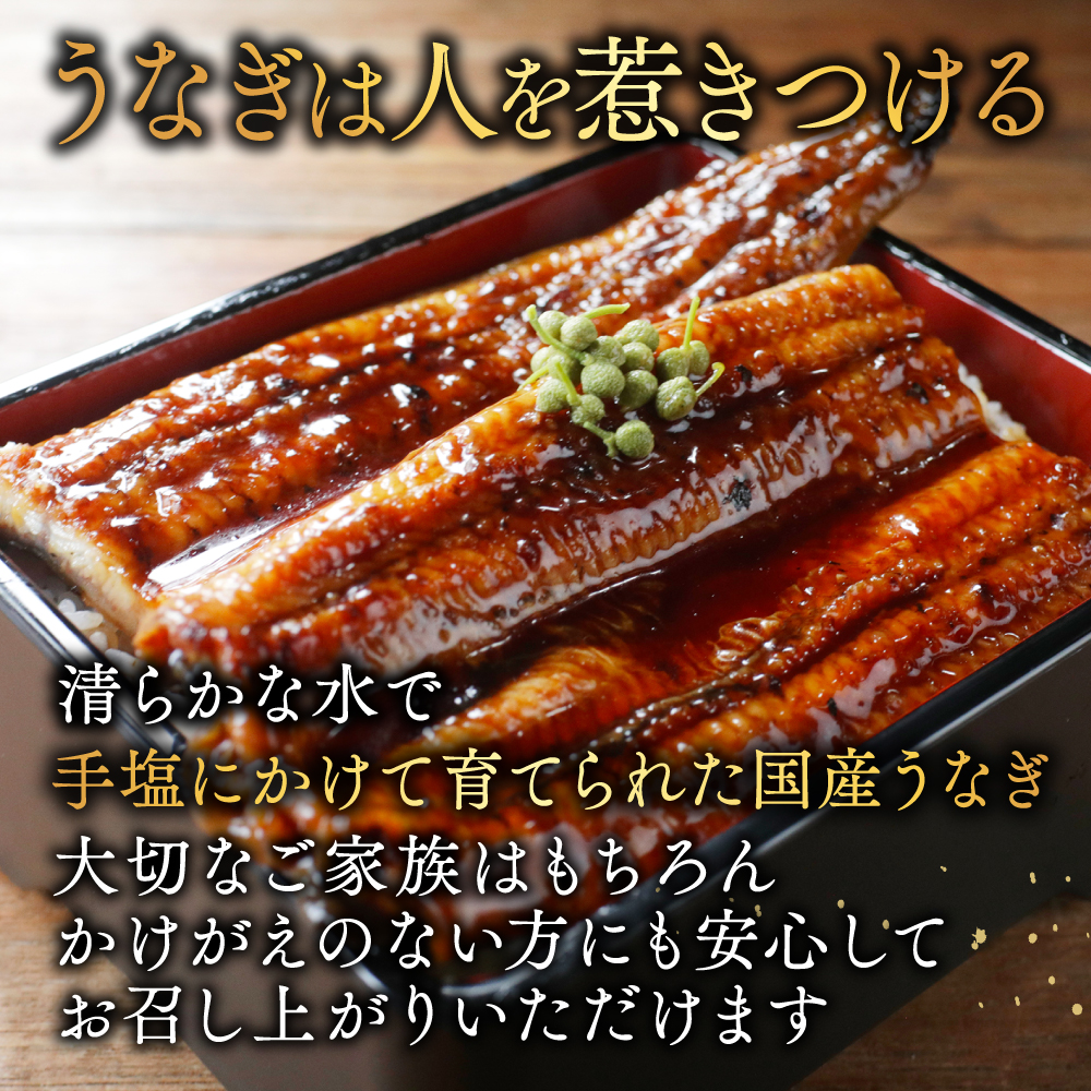 （6月）国産　特上うなぎ 2尾 合計 380g 以上 (190g 2尾)