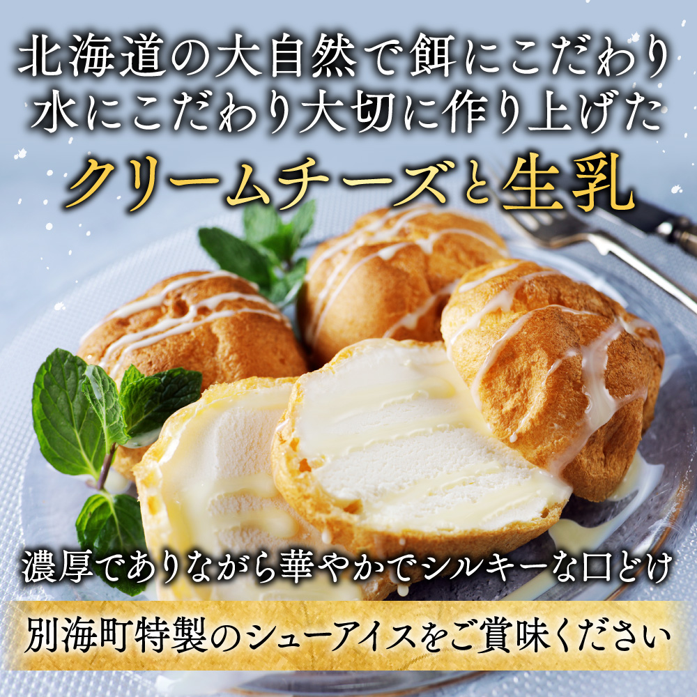 【12か月定期便】BETSUKAI濃厚シューアイス10個セット　【NSM120001】