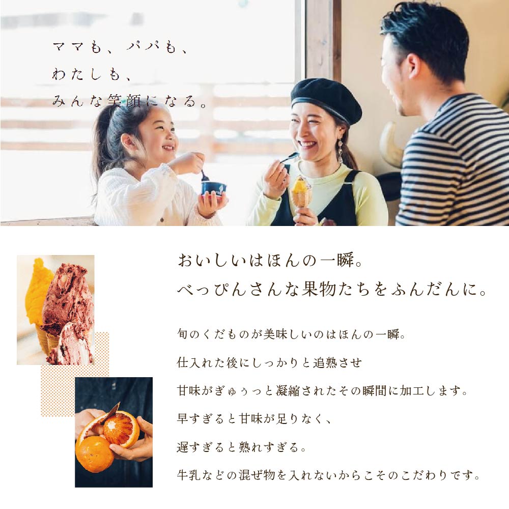 贅沢素材・12種のジェラート【EK0000015】