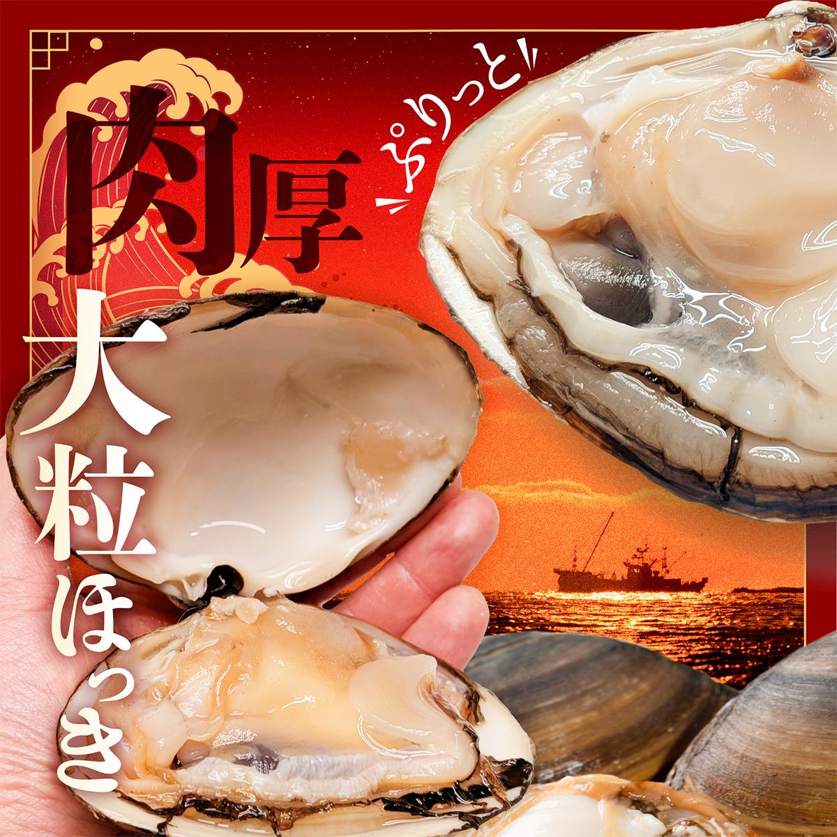 北海道 別海町産 活ホッキ 2.5kg【UY0000025】