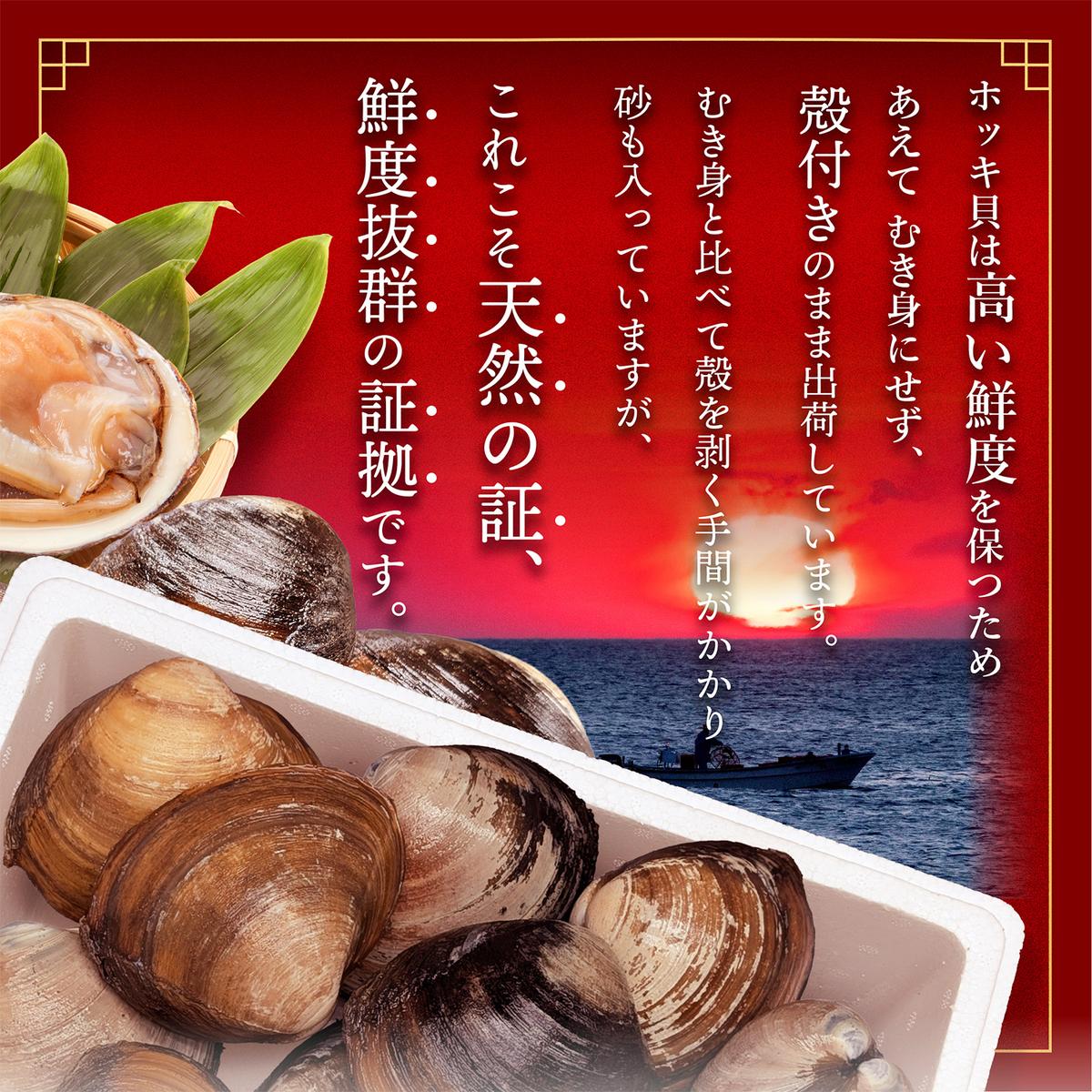 北海道 別海町産 活ホッキ 2.5kg【UY0000025】