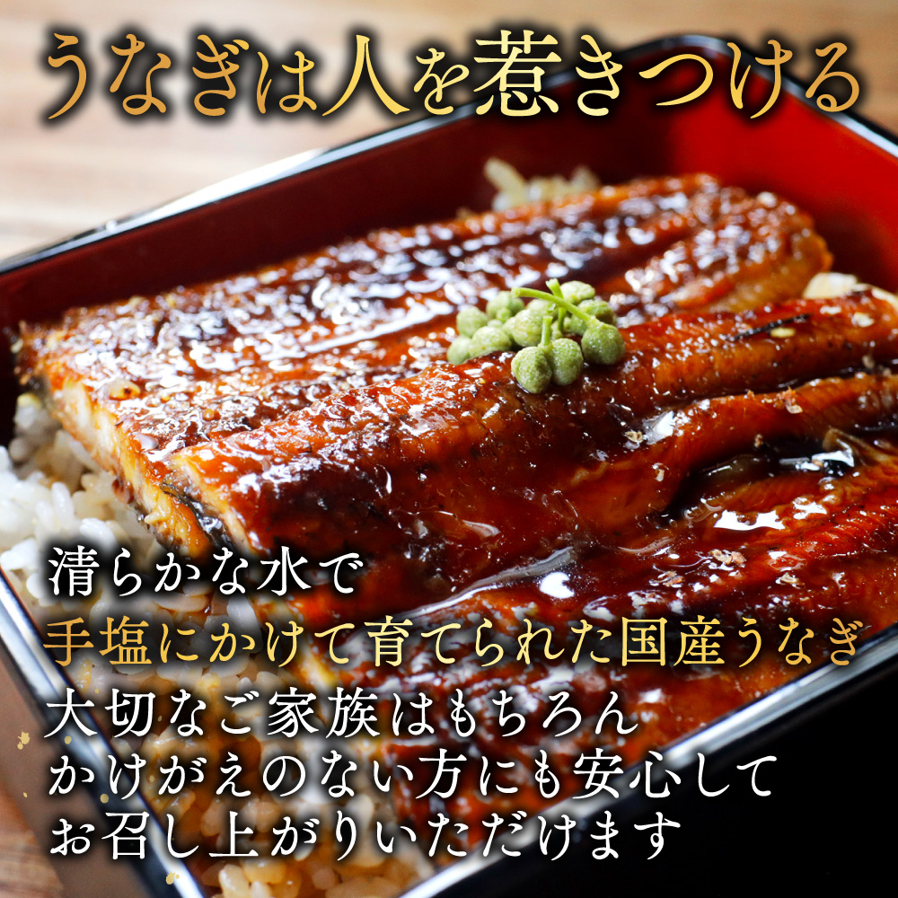 （6月）国産　特上うなぎ(130g×4尾)