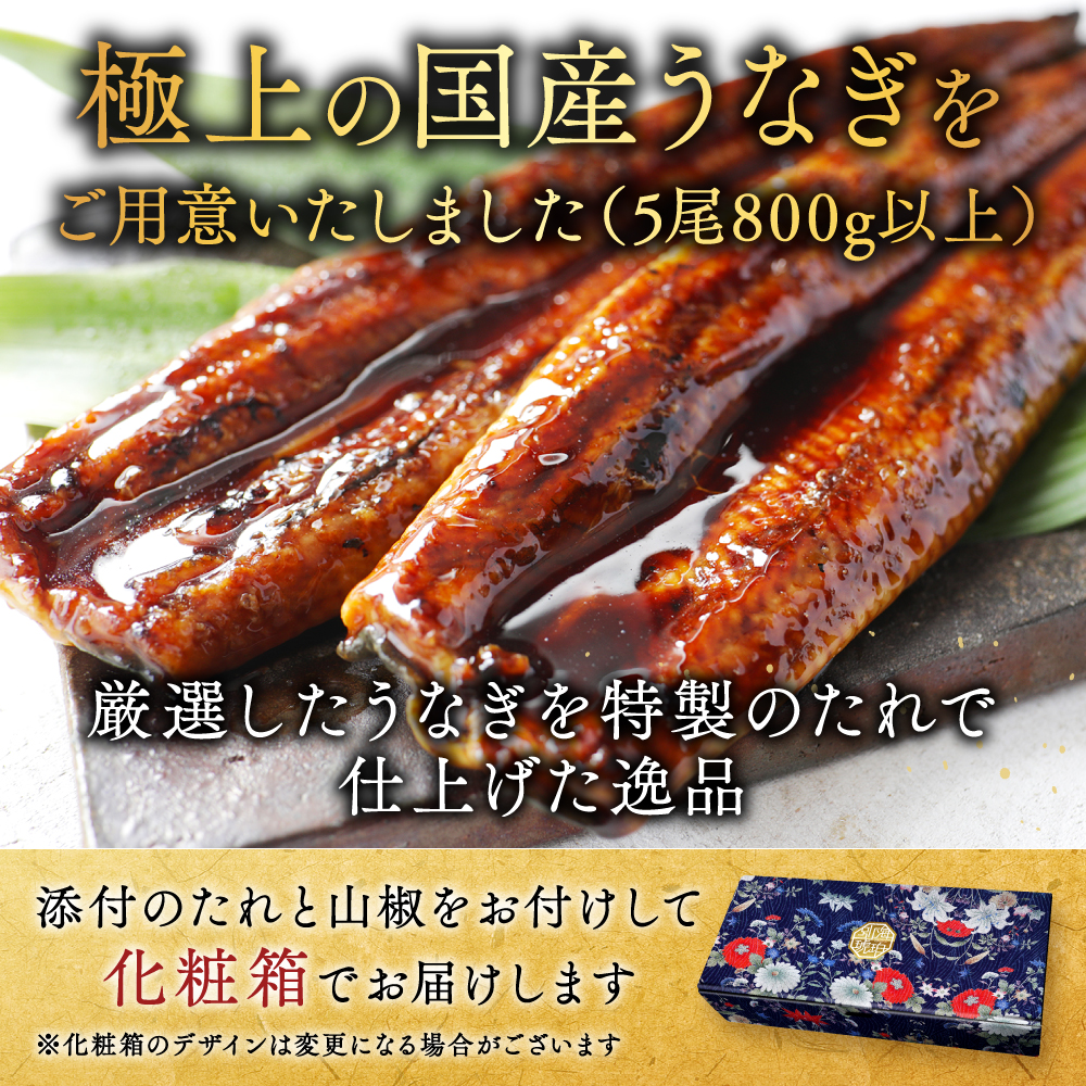 （6月）国産 大 特上うなぎ(160g×5尾)