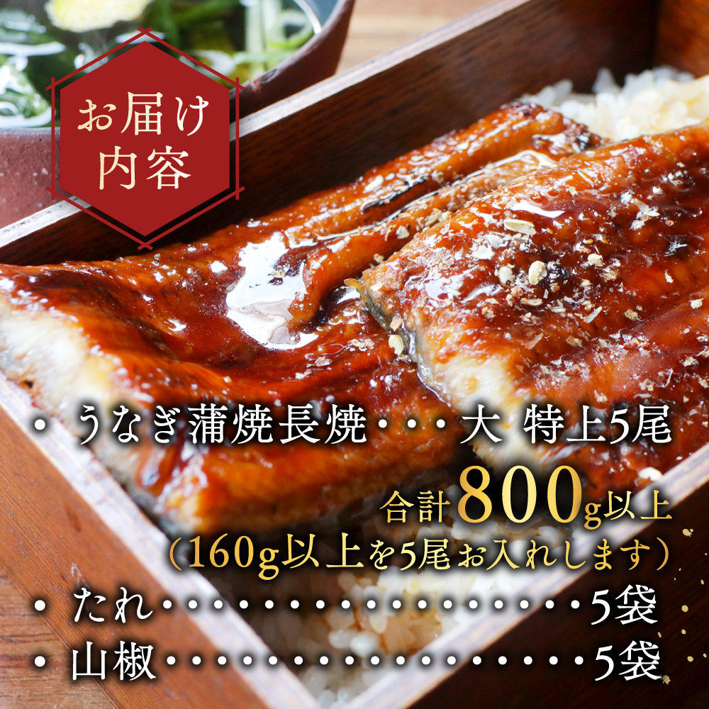 （6月）国産 大 特上うなぎ(160g×5尾)