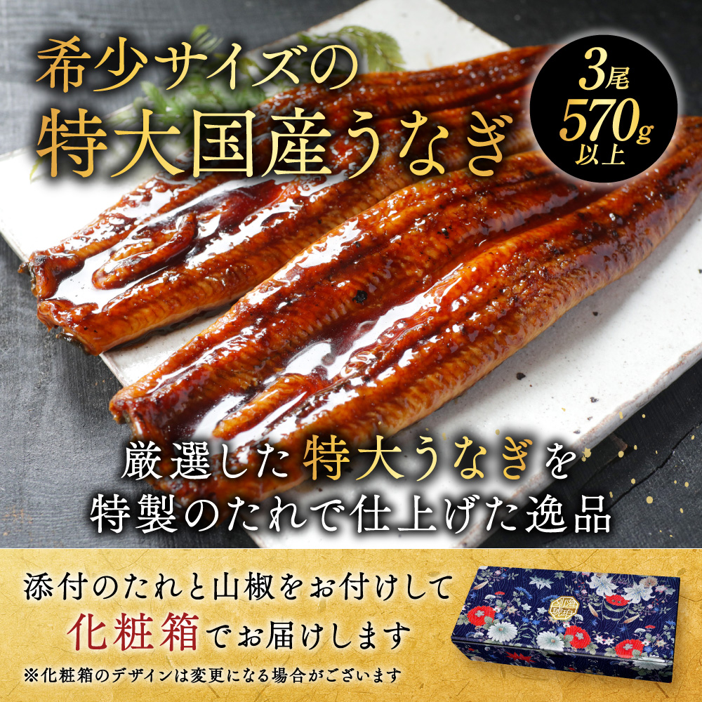 （6月）国産 特大 特上うなぎ(190g×3尾)