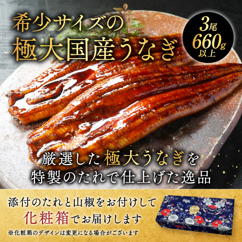 （6月）国産 極大 特上うなぎ(220g×3尾)