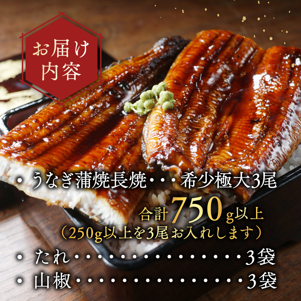（6月）国産 希少 極大 特上うなぎ(250g×3尾)