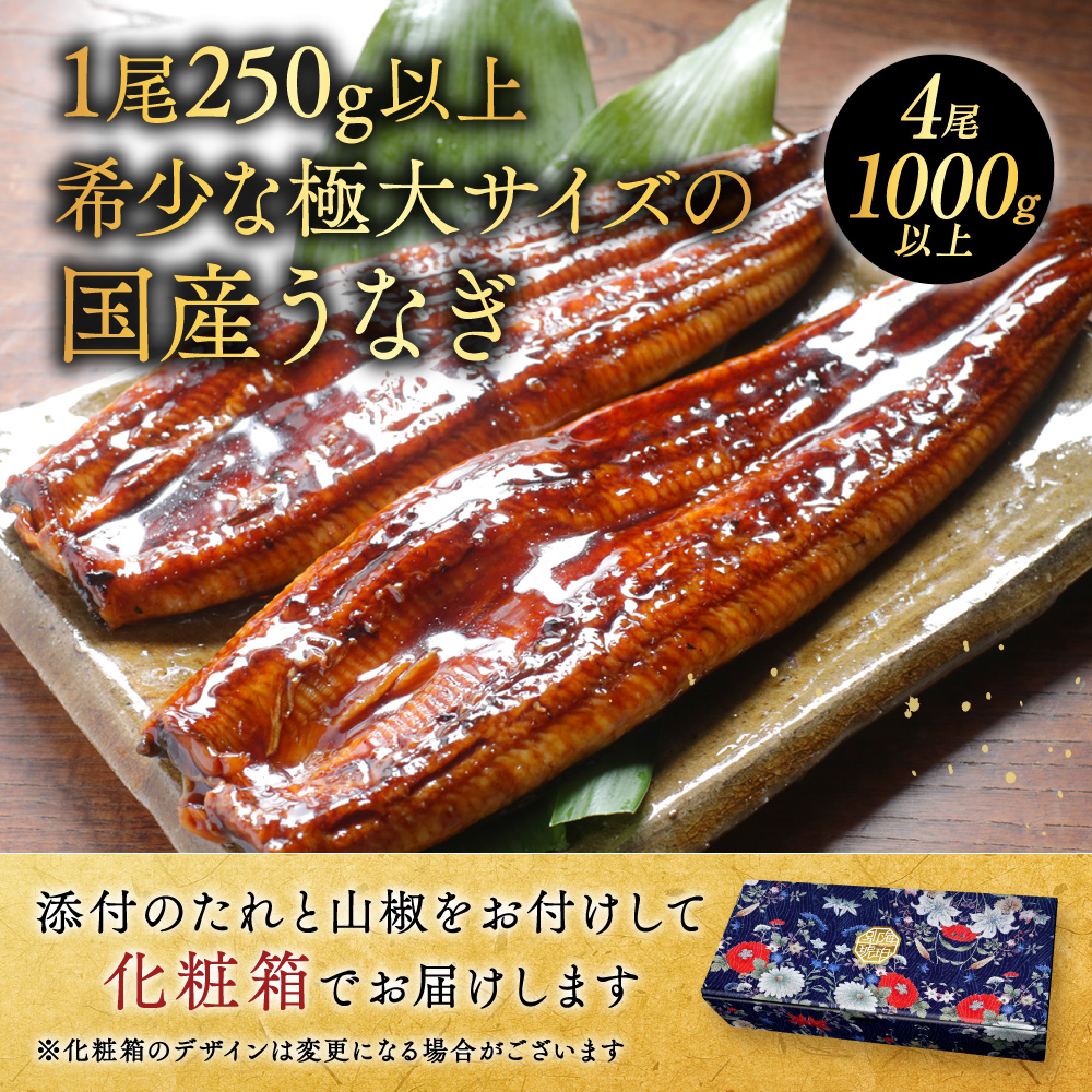 （6月）国産 希少 極大 特上うなぎ(250g×4尾)