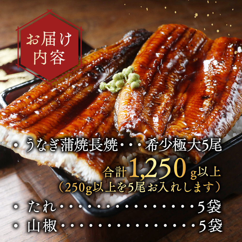 （6月）国産 希少 極大 特上うなぎ(250g×5尾)