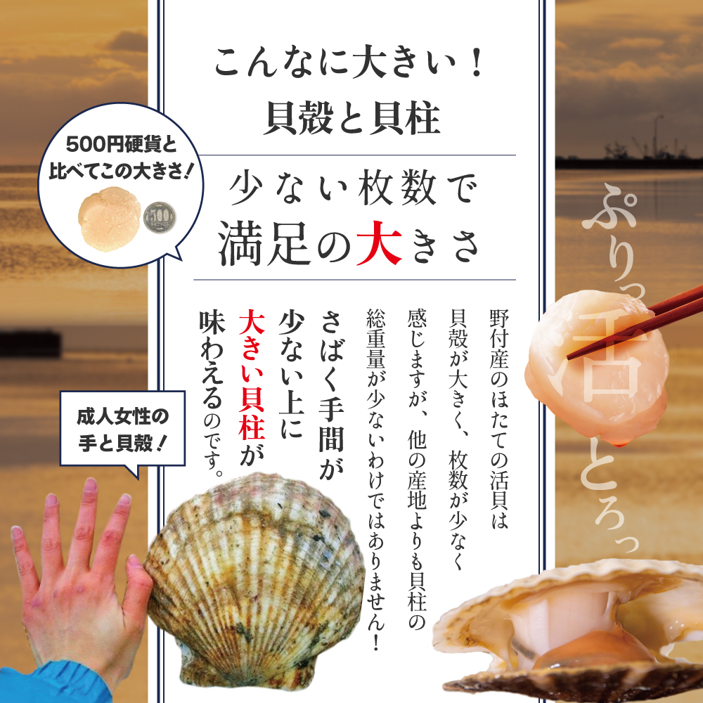 特大活ほたて ３kg相当 7～14枚入り＜朝どり新鮮出荷!＞