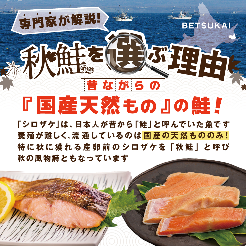 【訳あり】秋鮭ドンっ！無塩 秋鮭 切り身 1.5kg 【KN000PB06】