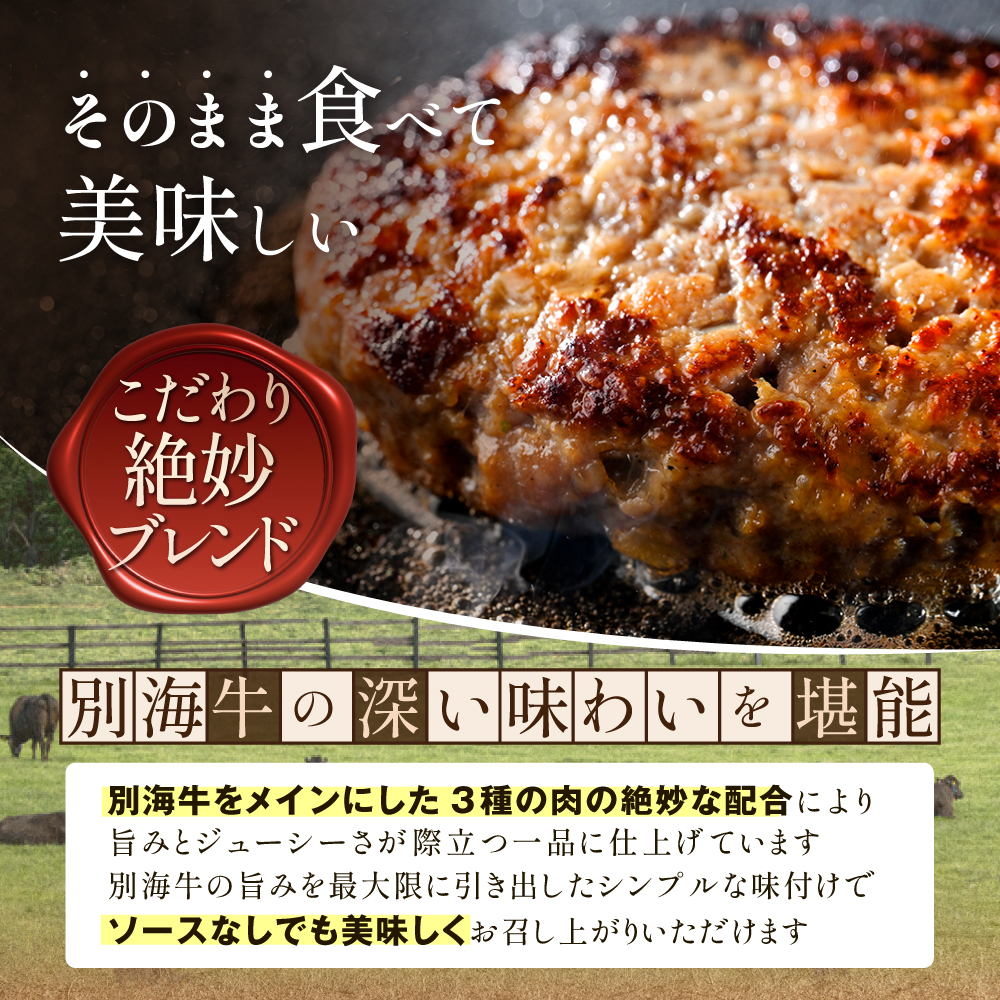 北海道 別海町産 別海牛入り合挽ハンバーグ（80g×12個）×2箱【NB002JB00】