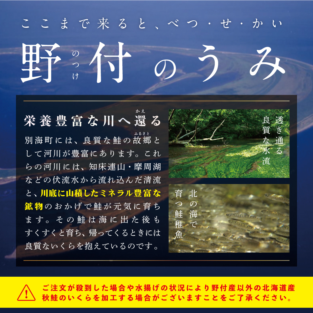 本場「北海道」のいくら醤油漬け 500g！【NK002NQ13】( いくら いくら醤油漬け いくら醤油漬 醤油いくら 鮭いくら 国産いくら 北海道産いくら 地場産いくら 道産いくら 別海町 ふるさと納税 ふるさと ikura お届け）