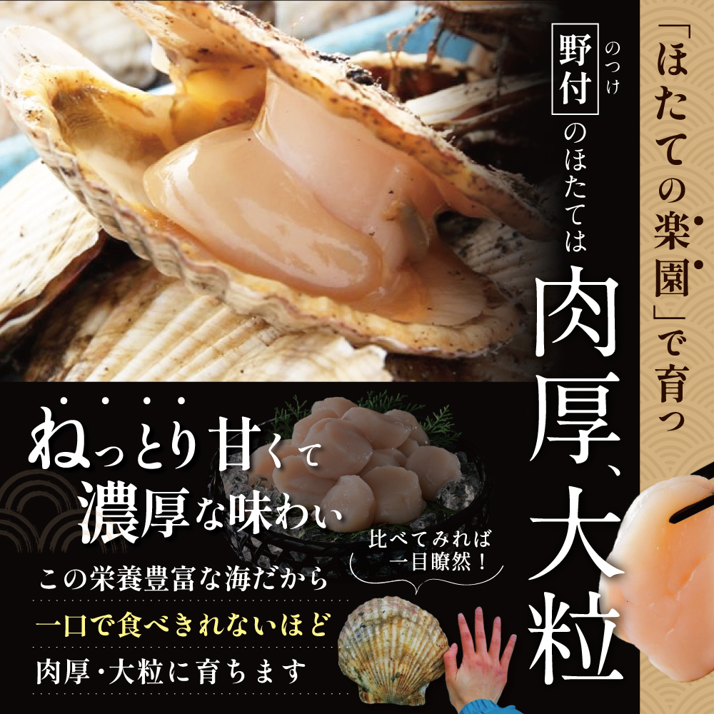 北海道野付産 特大ほたて 500ｇ 個包装（10〜13⽟前後）（Lサイズ）【KN0000025】