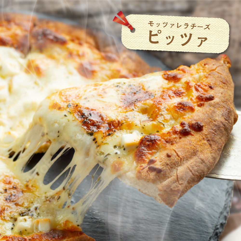 【定期便】森永乳業 モッツァレラチーズ 600g(100g×6P) × 4ヵ月【全4回】