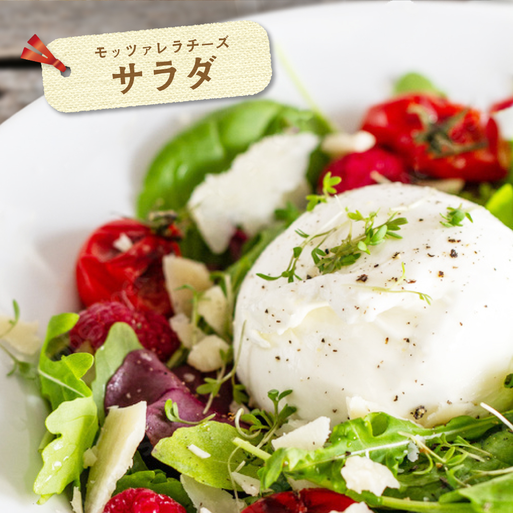 【定期便】森永乳業 モッツァレラチーズ 600g(100g×6P) × 4ヵ月【全4回】