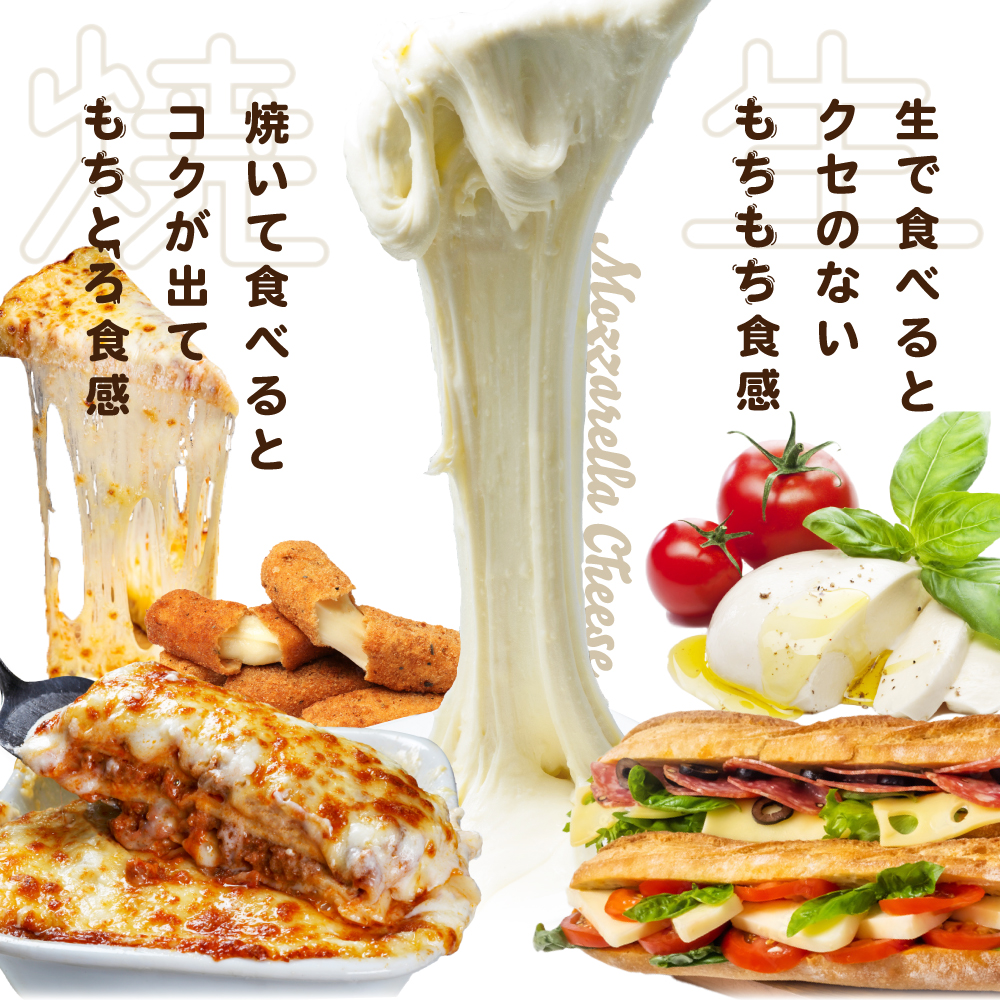 【定期便】森永乳業 モッツァレラチーズ 600g(100g×6P) × 8ヵ月【全8回】
