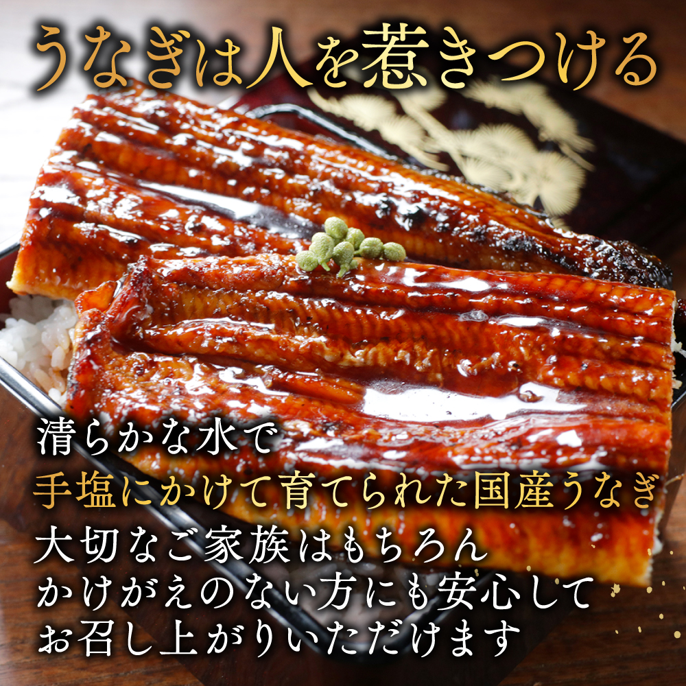 国産 希少 超極大 特上うなぎ(290g×2尾)