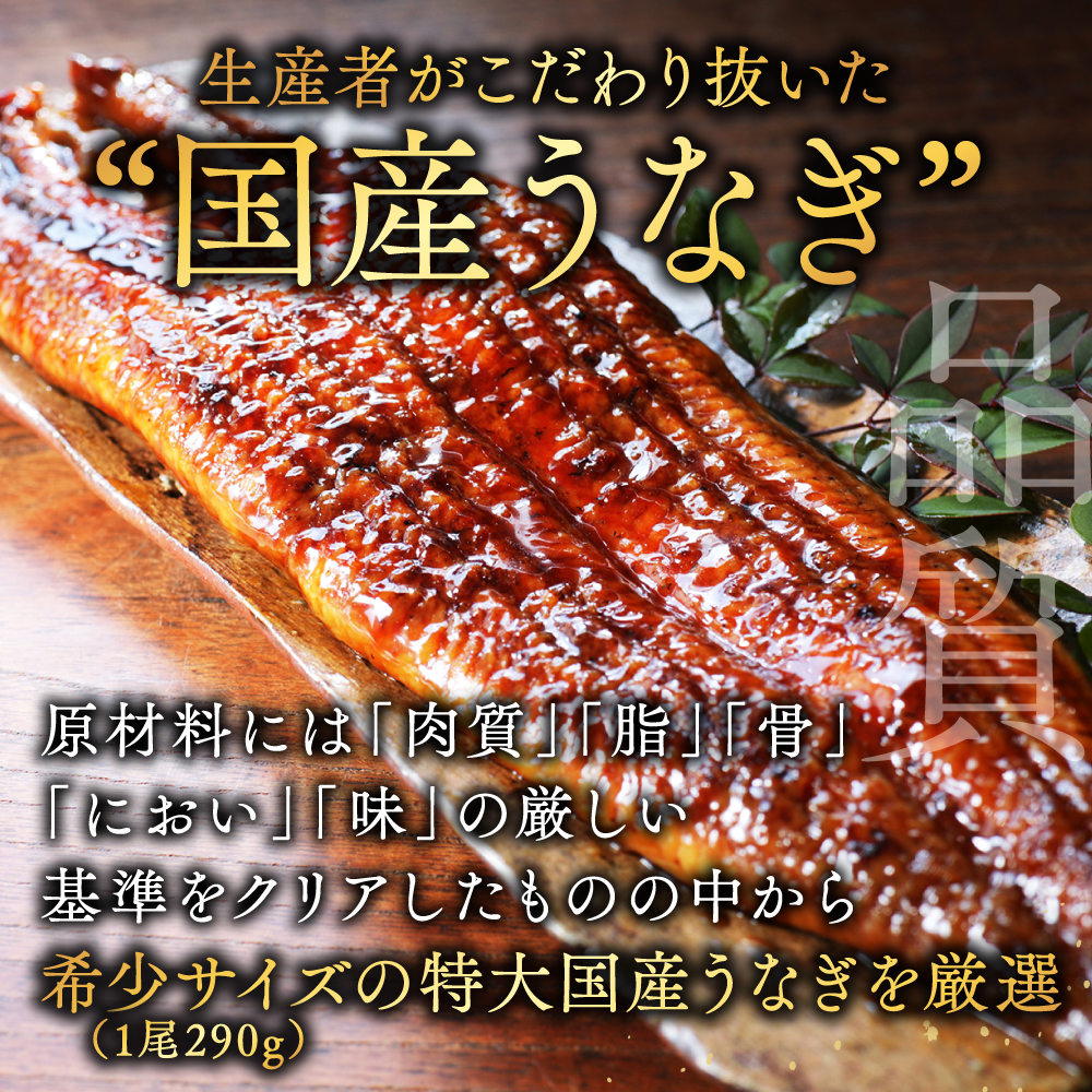 国産 希少 超極大 特上うなぎ(290g×2尾)