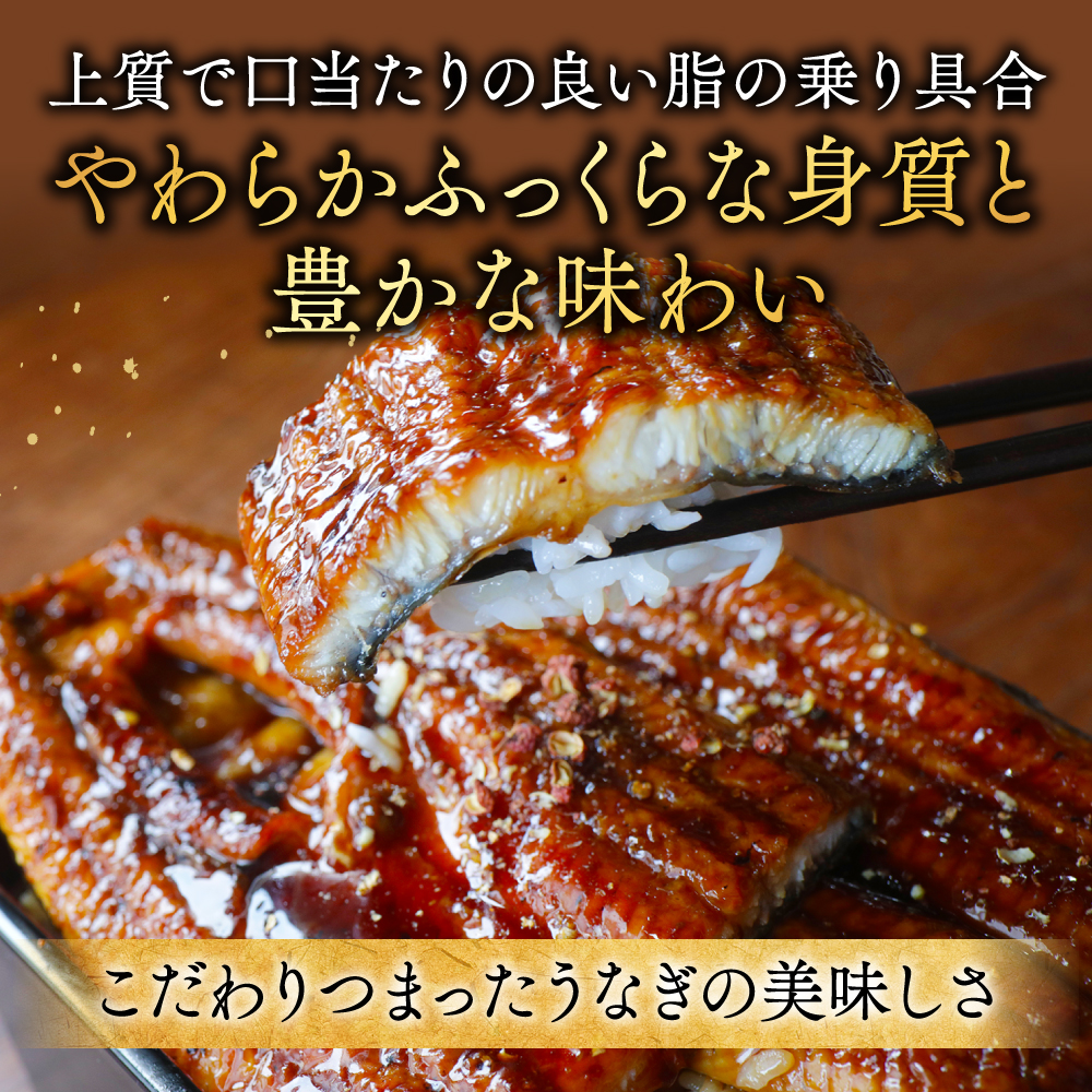 国産 希少 超極大 特上うなぎ(290g×2尾)