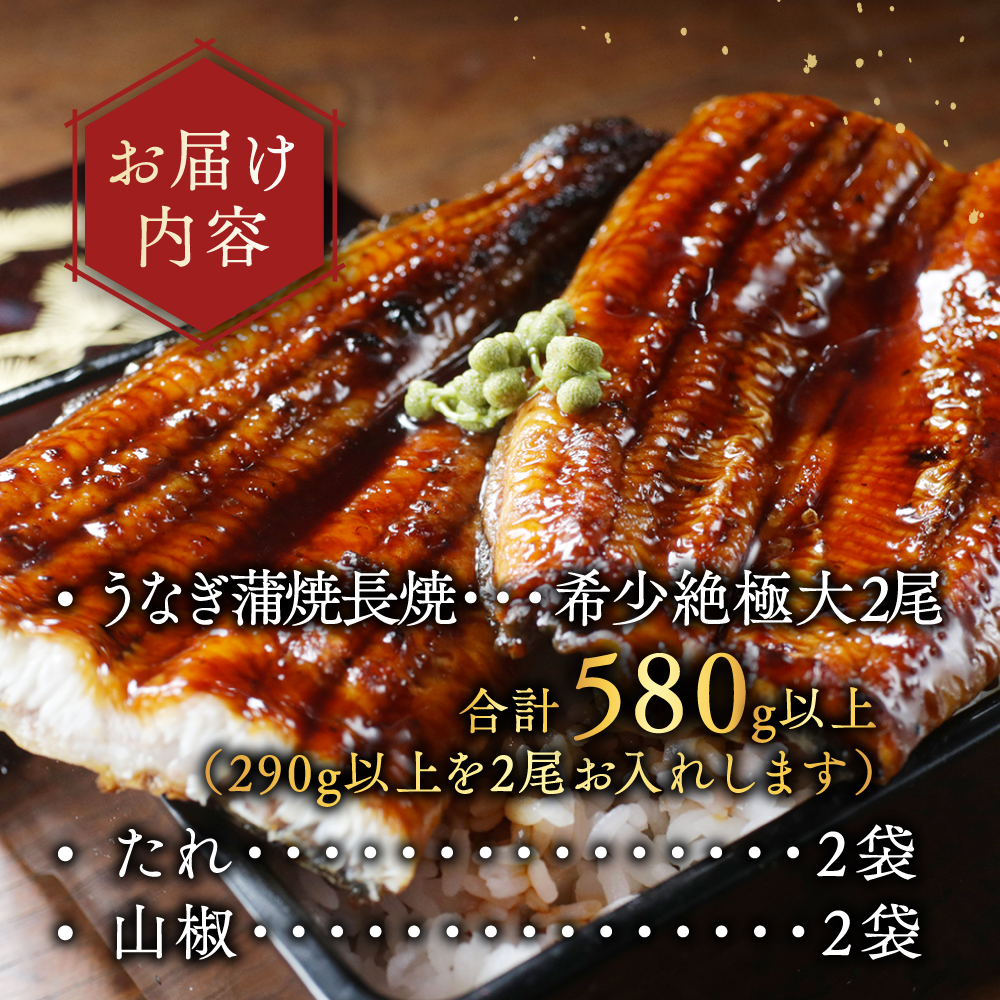 国産 希少 超極大 特上うなぎ(290g×2尾)
