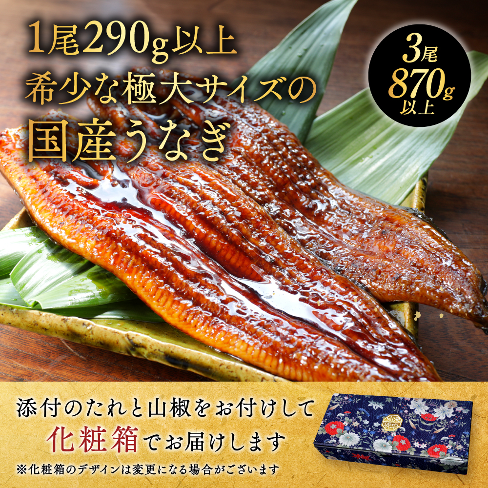 国産 希少 超極大 特上うなぎ(290g×3尾)