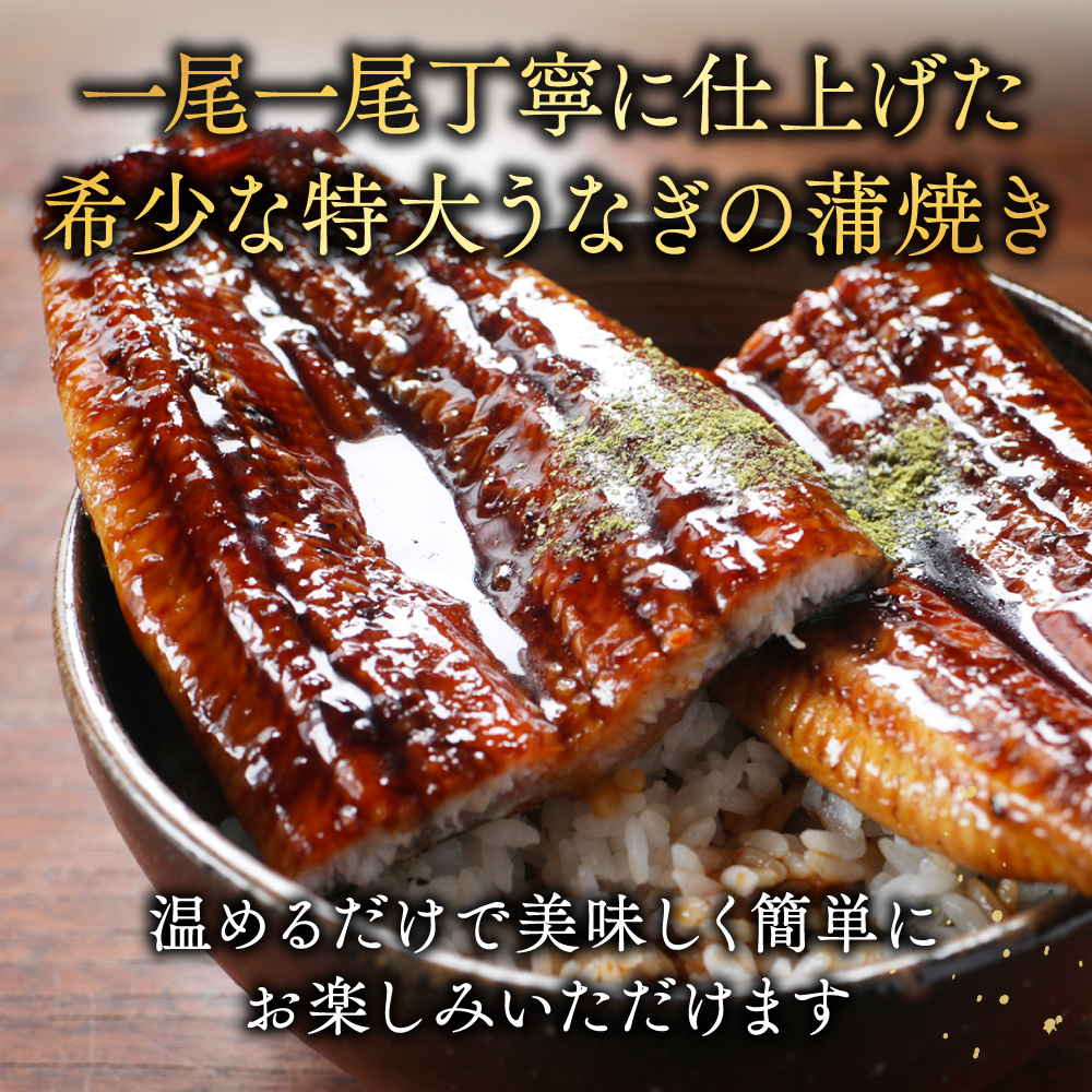 国産 希少 超極大 特上うなぎ(290g×4尾)