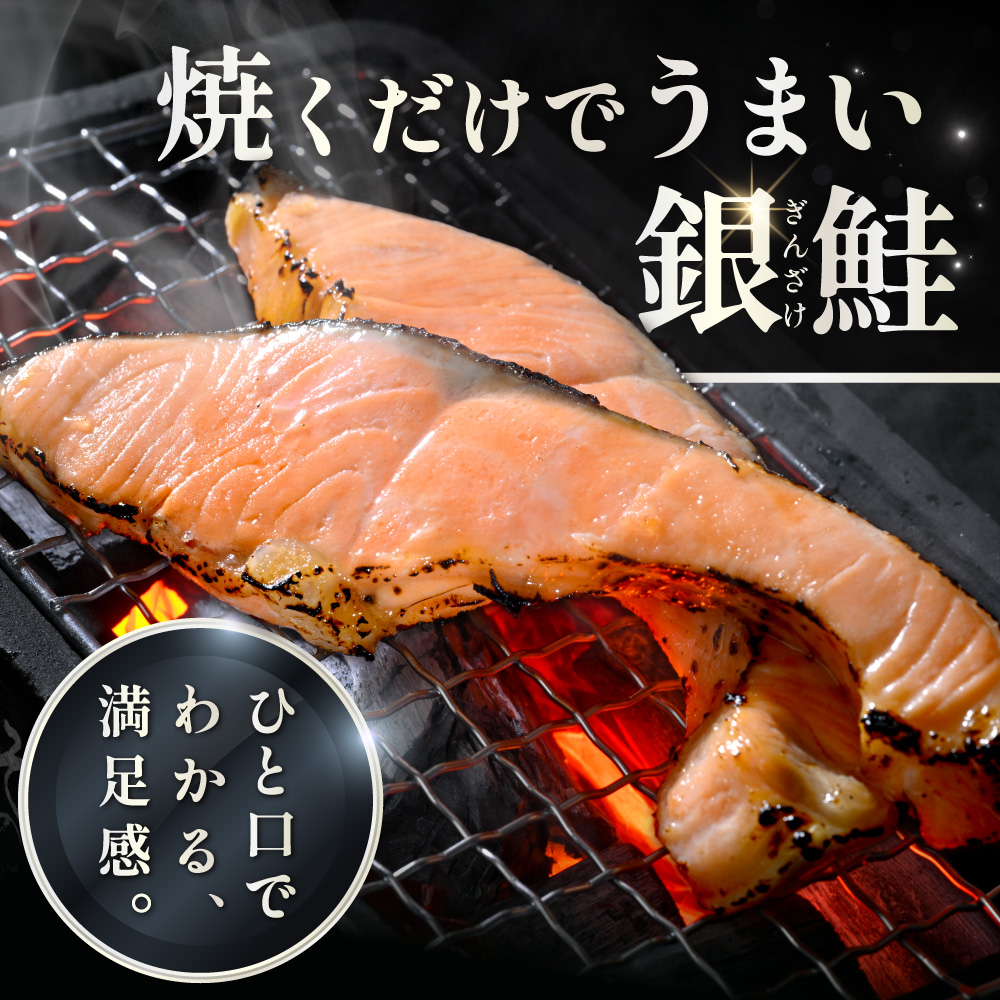 塩銀鮭切身 3.0kg (1.5kg×2箱)【MT0002TZ0】